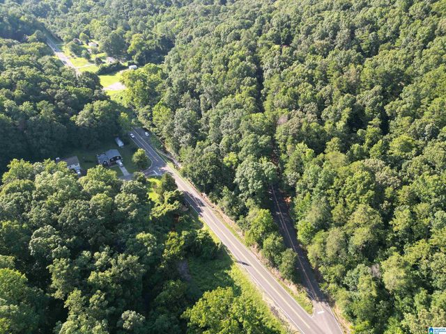 3101 SWEENEY HOLLOW ROAD, Birmingham, AL 35215