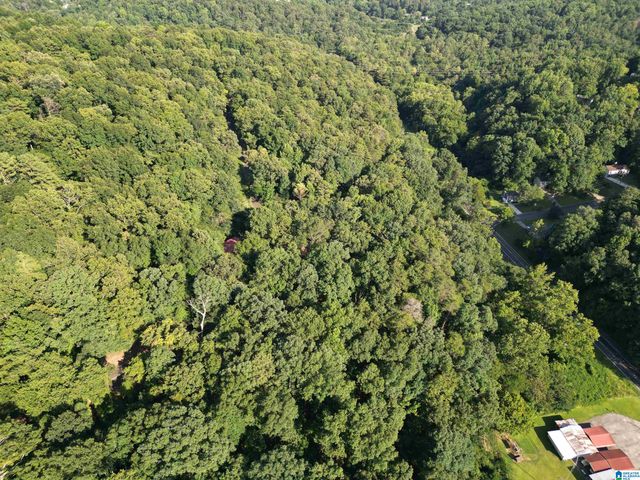 3101 SWEENEY HOLLOW ROAD, Birmingham, AL 35215