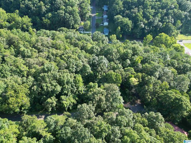 3101 SWEENEY HOLLOW ROAD, Birmingham, AL 35215
