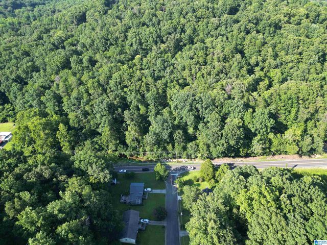 3101 SWEENEY HOLLOW ROAD, Birmingham, AL 35215
