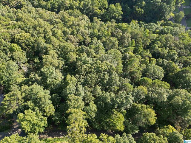 3101 SWEENEY HOLLOW ROAD, Birmingham, AL 35215