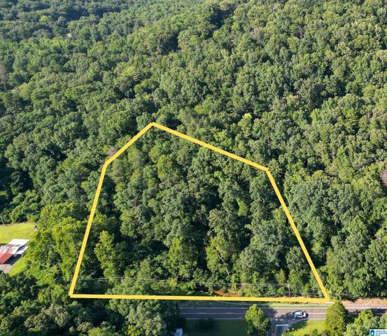3101 SWEENEY HOLLOW ROAD, Birmingham, AL 35215
