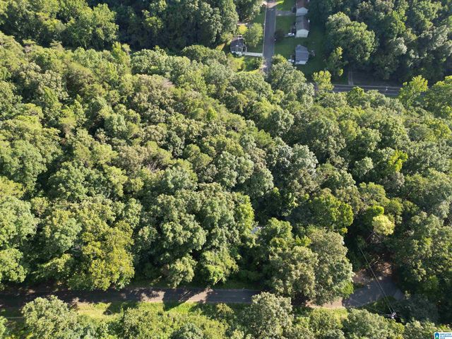 3101 SWEENEY HOLLOW ROAD, Birmingham, AL 35215