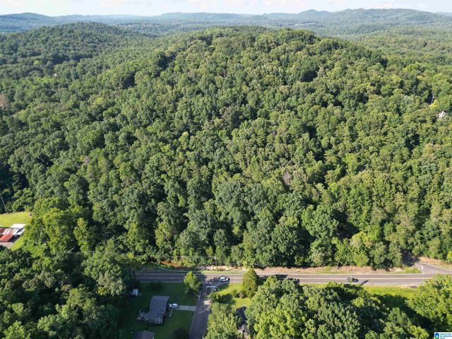3101 SWEENEY HOLLOW ROAD, Birmingham, AL 35215