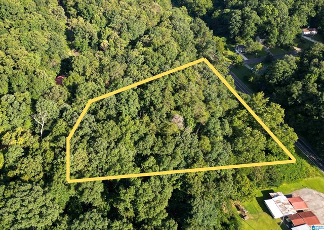 3101 SWEENEY HOLLOW ROAD, Birmingham, AL 35215
