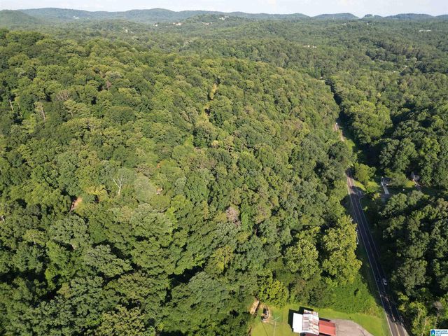 3101 SWEENEY HOLLOW ROAD, Birmingham, AL 35215