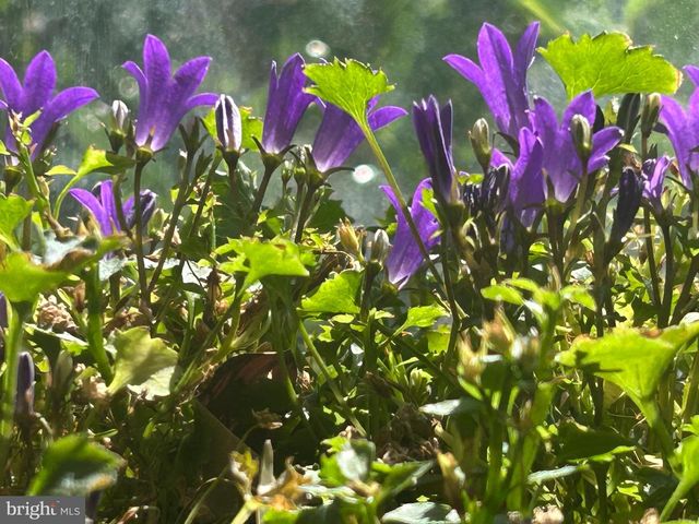 1701 FERGUSON LN, Fort Washington, MD 20744