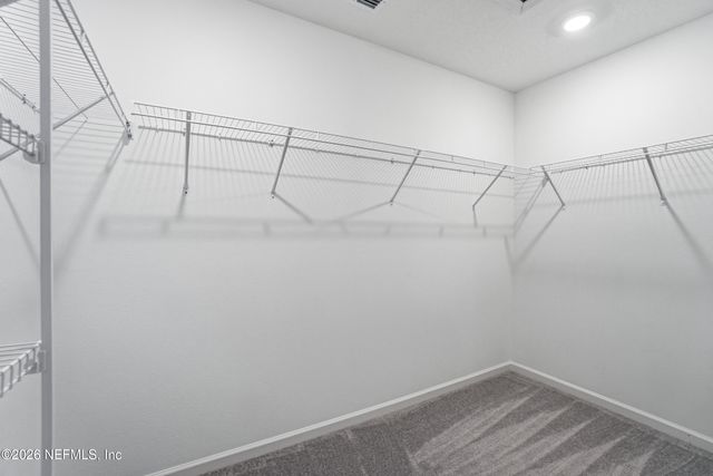 3976 ORNAMENTAL Lane, Jacksonville, FL 32217