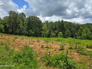 260 Wells Rd, Powell, TN 37849
