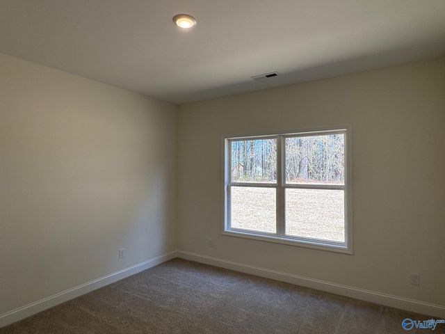 349 Overland Pass, Arab, AL 35016