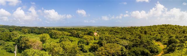 1 PR-995, Vieques, PR 00765