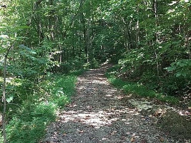 175 Dillon Rd, Baxter, TN 38544