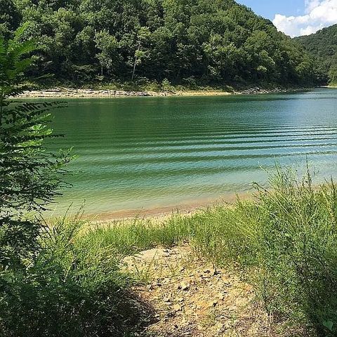 175 Dillon Rd, Baxter, TN 38544