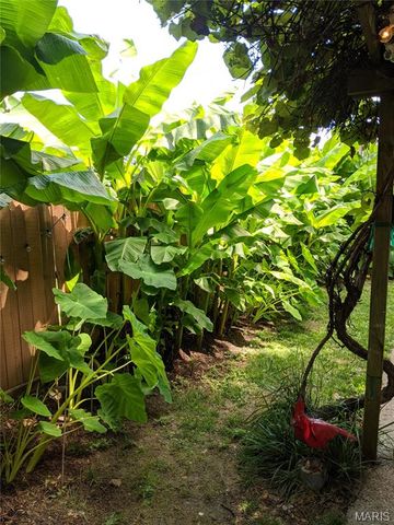 3974 Wyoming Street, St Louis, MO 63116