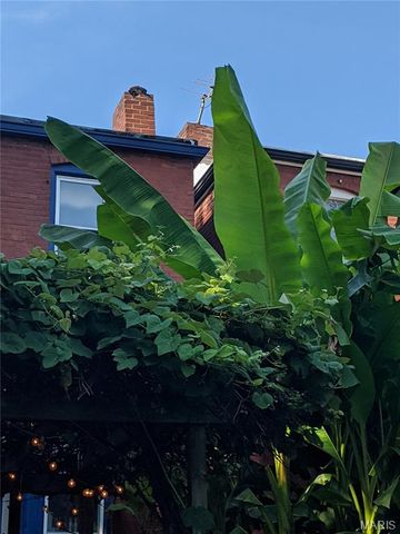 3974 Wyoming Street, St Louis, MO 63116