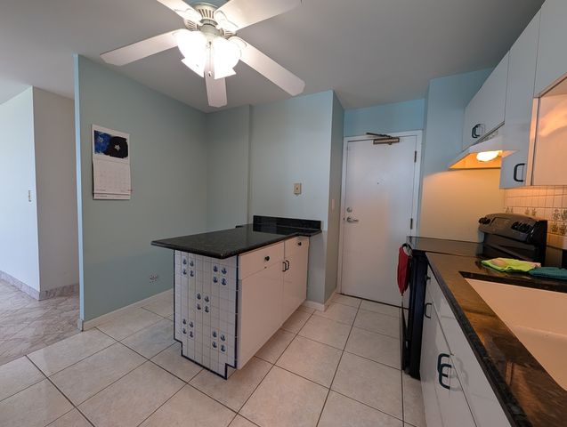 6171 N Sheridan Road 1412, Chicago, IL 60660