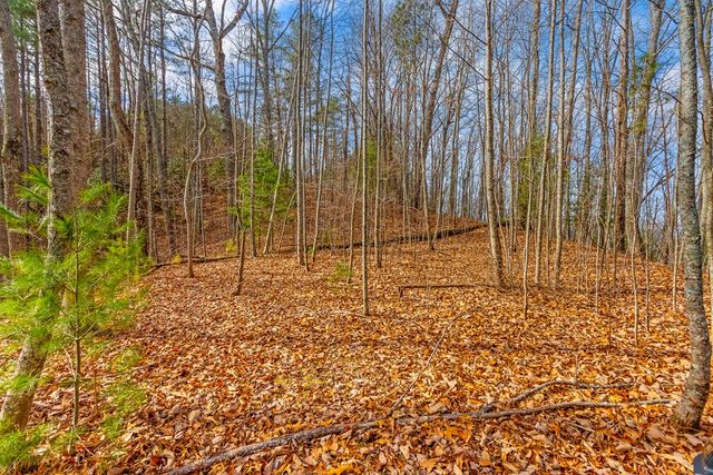 3.45 ac Guy Eller Road, Murphy, NC 28006