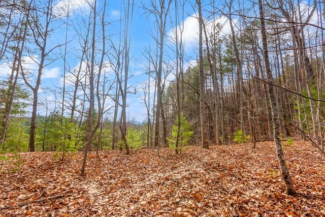 3.45 ac Guy Eller Road, Murphy, NC 28006