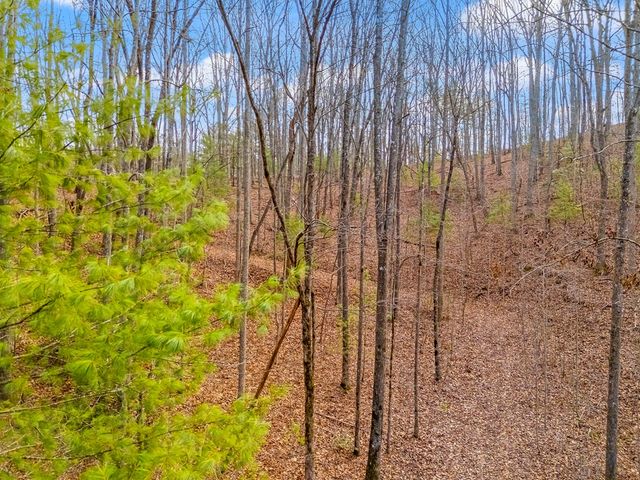 3.45 ac Guy Eller Road, Murphy, NC 28006