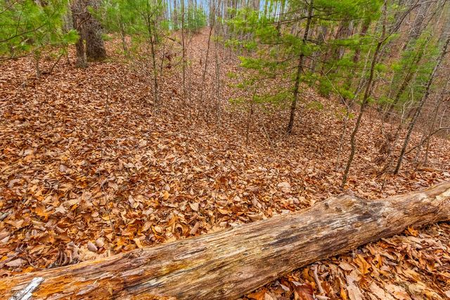 3.45 ac Guy Eller Road, Murphy, NC 28006