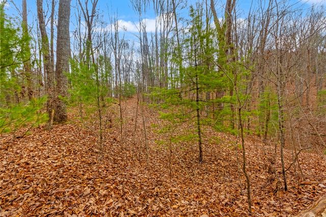 3.45 ac Guy Eller Road, Murphy, NC 28006