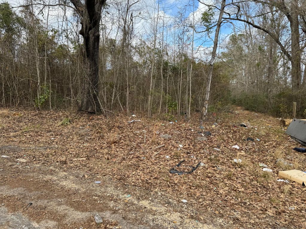 5510 Mauss Hill Road, Hollywood, SC 29449