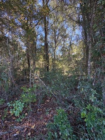 345 S RIDGEWOOD AVENUE, Deland, FL 32720