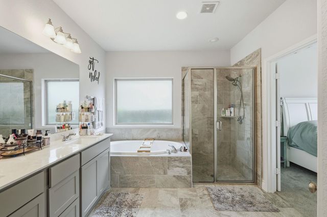 16825 Edwin Reinhardt DR, Manor, TX 78653