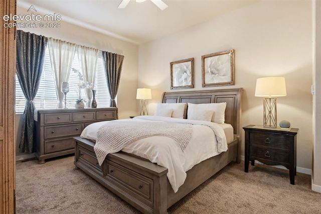 7095 Fauna Glen Drive, Colorado Springs, CO 80927