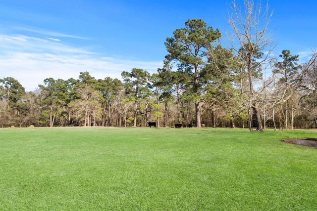 13259 Kidd Road, Conroe, TX 77302