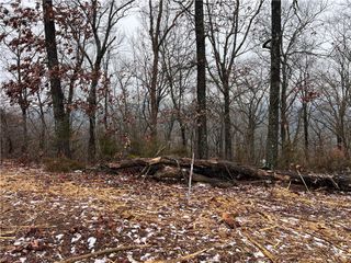 31 Skyview Lane, Holiday Island, AR 72631