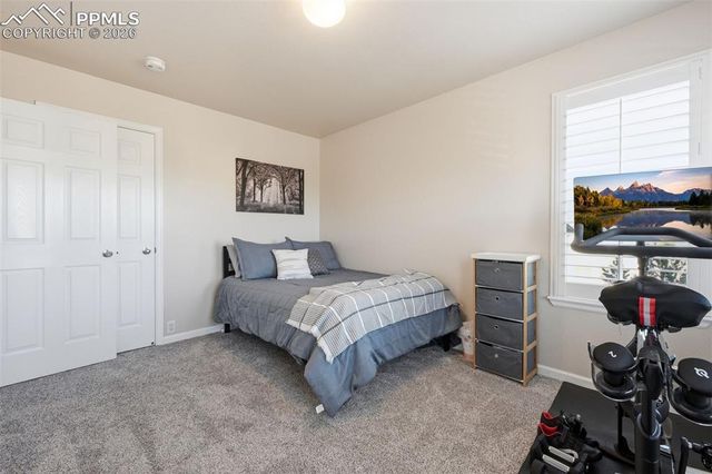 1095 Walters Point, Monument, CO 80132