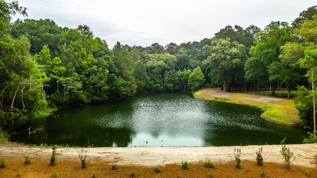 2486 Bald Eagle Court, Johns Island, SC 29455