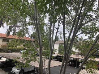 1361 Caminito Gabaldon D, San Diego, CA 92108