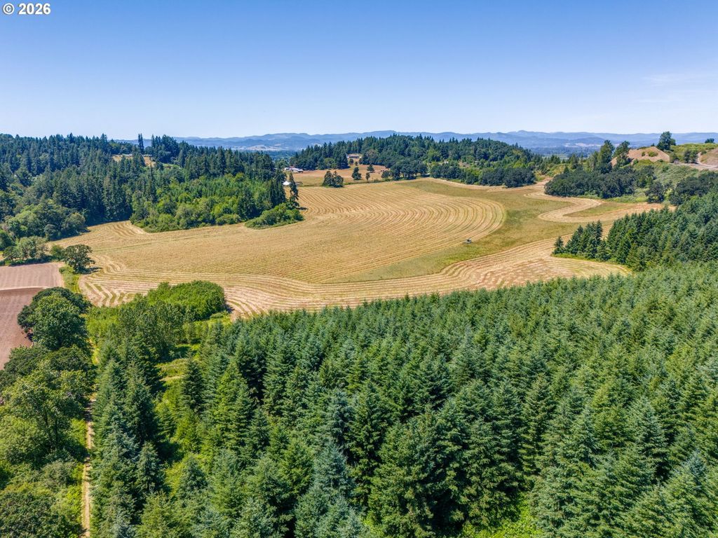 Image 1 of property listing at 0 Lafayette Hwy, Dayton, OR 97114