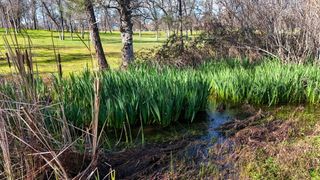 13231 Alicia Parkway, Redding, CA 96003