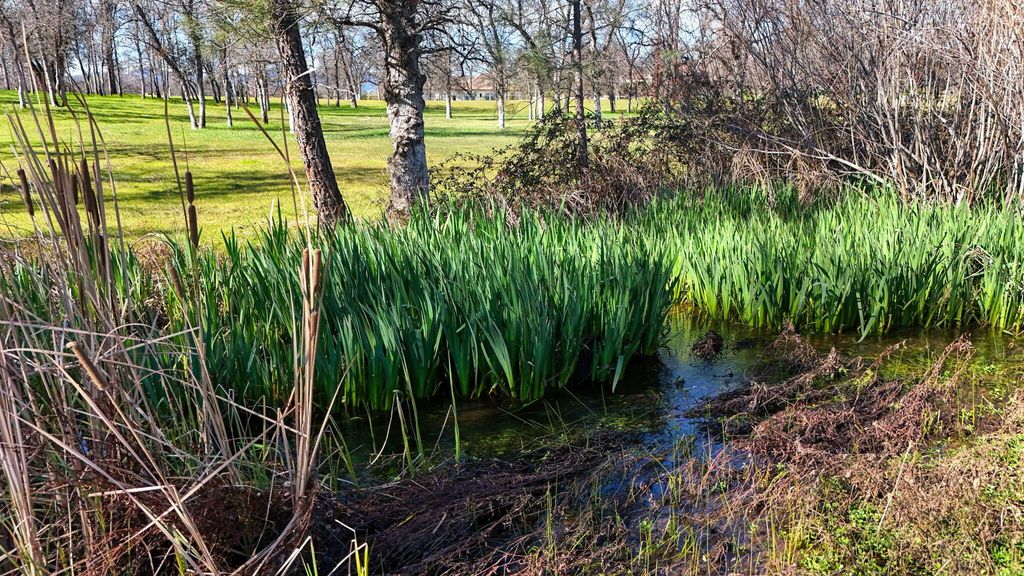 13231 Alicia Parkway, Redding, CA 96003