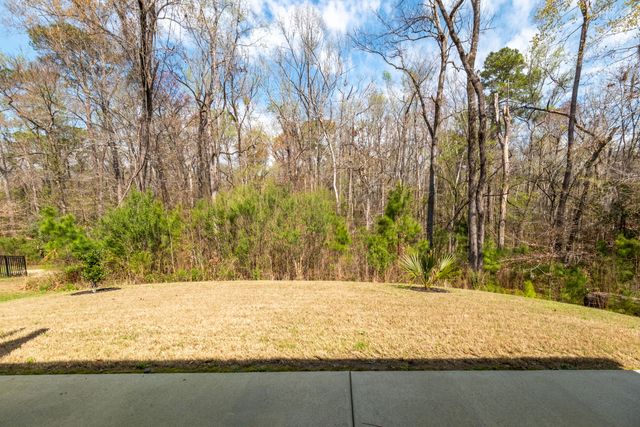 4047 Aspera Drive, Summerville, SC 29483
