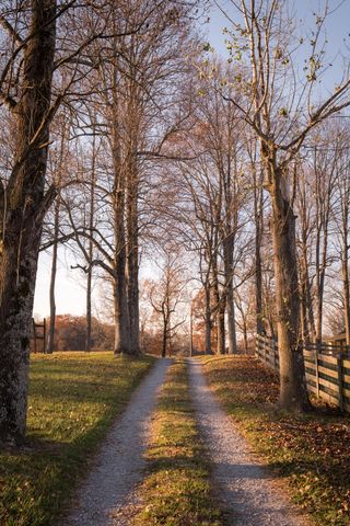 136 Golf Course Road, Menlo, GA 30731