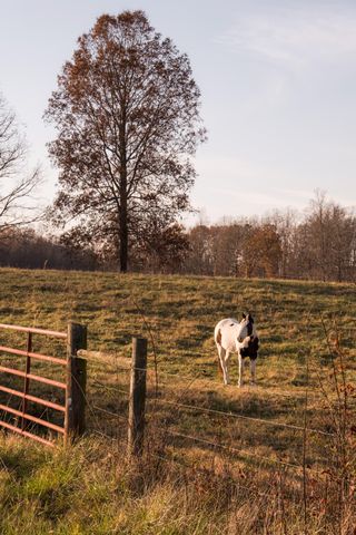 136 Golf Course Road, Menlo, GA 30731