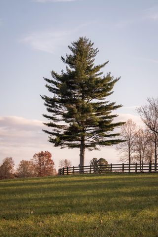 136 Golf Course Road, Menlo, GA 30731