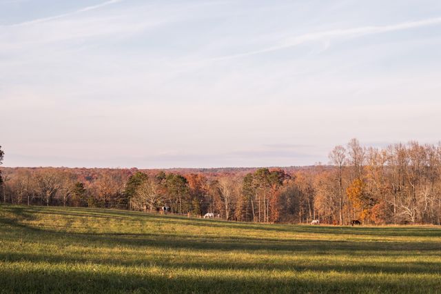 136 Golf Course Road, Menlo, GA 30731