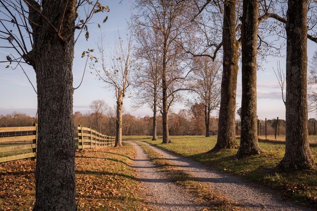 136 Golf Course Road, Menlo, GA 30731