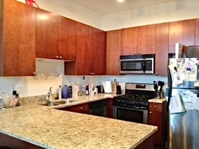 1464 S MICHIGAN Avenue 1507, Chicago, IL 60605