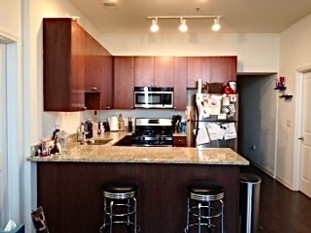 1464 S MICHIGAN Avenue 1507, Chicago, IL 60605
