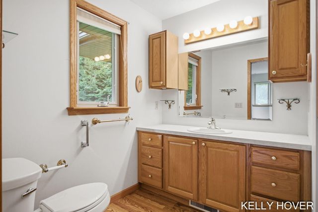 374 137th Avenue, Wayland, MI 49348