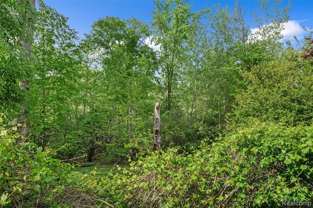 10099 Fernbrooke Drive, Brighton, MI 48116