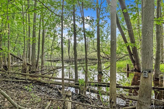 10099 Fernbrooke Drive, Brighton, MI 48116