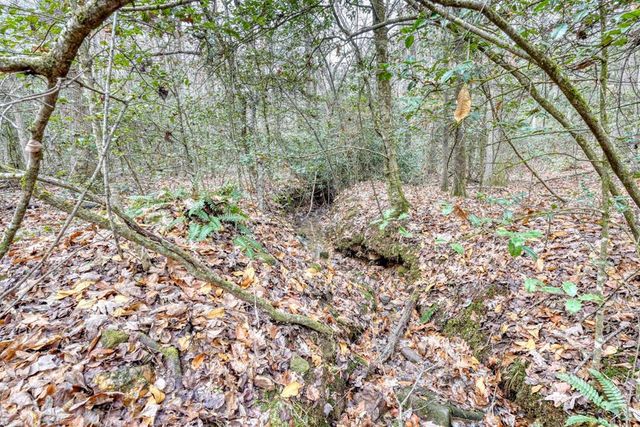 357 Nottely Woods Road E, Blairsville, GA 30512