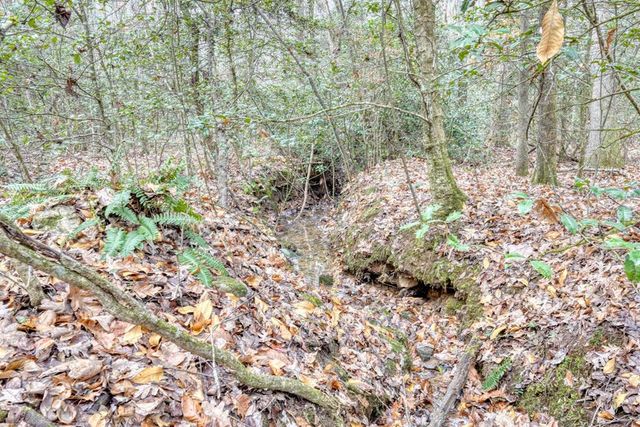 357 Nottely Woods Road E, Blairsville, GA 30512